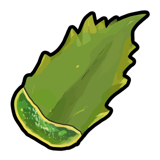 Item 6003